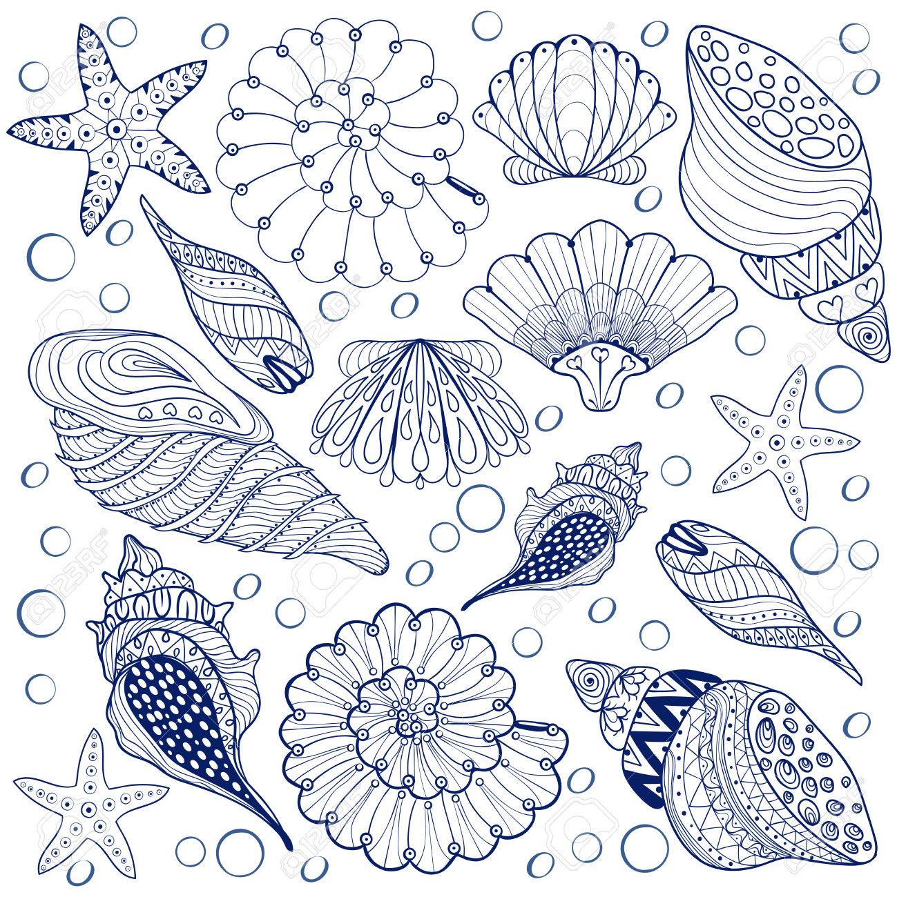 Vector set shells zentangle blue seashells for adult anti stress coloring pages patterned sea shell illustration for tattoos with high details hand drawn sketch artistically decorative henna print royalty free svg cliparts