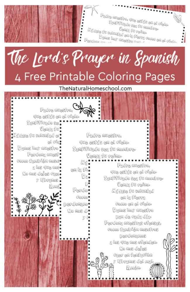 Free the lords prayer in spanish printable coloring pages