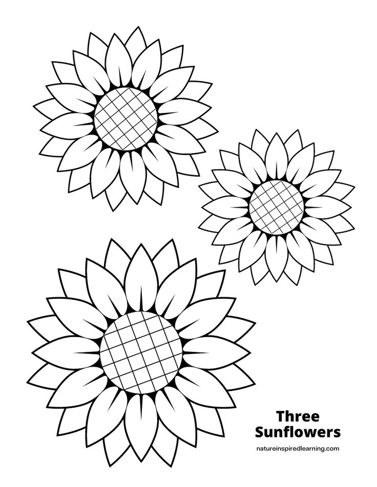 Printable sunflower templates sunflower coloring pages summer coloring pages coloring pages