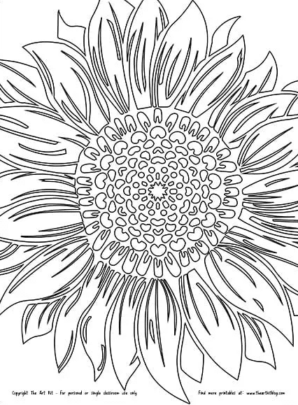 Sunflower coloring page free homeschool deals