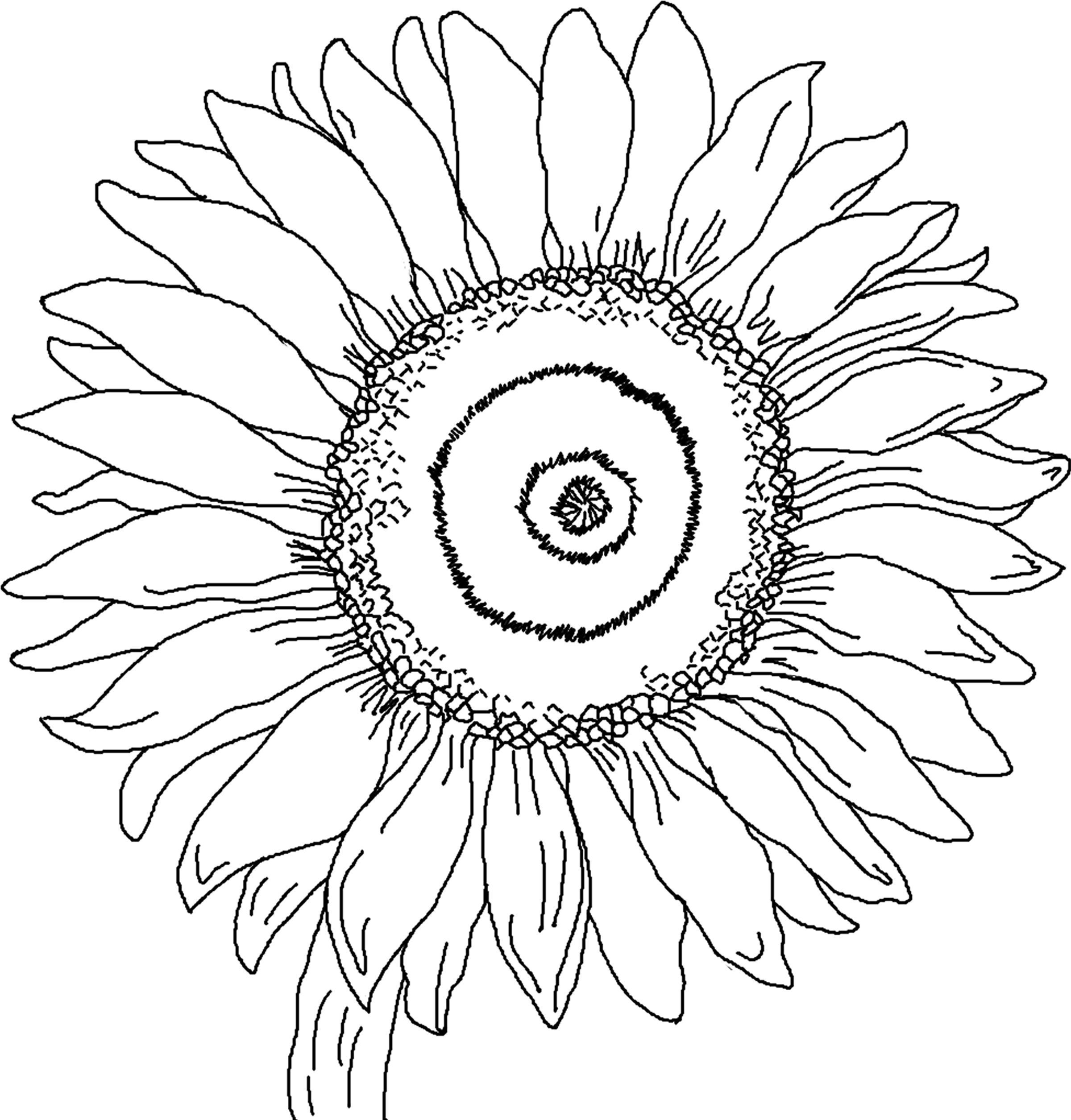 Free printable sunflower coloring pages for kids sunflower coloring pages printable flower coloring pages van gogh coloring