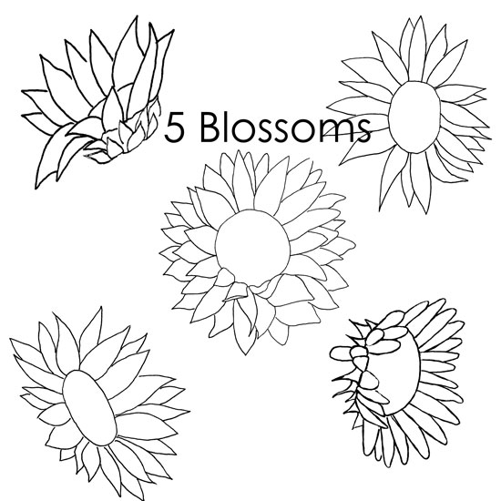 Sunflower patterns sunflower coloring pages just paint it blog http