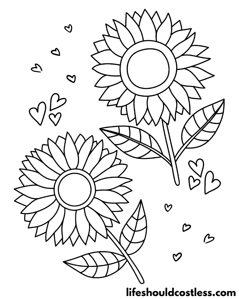 Sunflower coloring pages free printable pdf templates