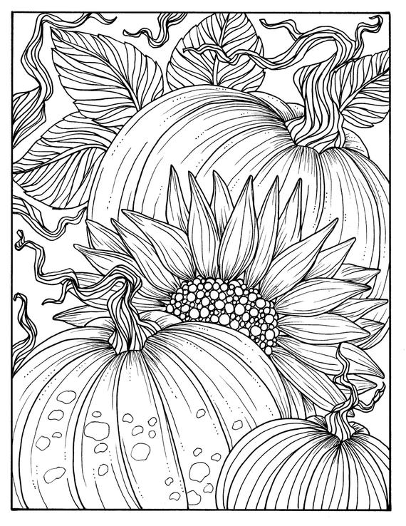 Coloring pages free printable sunflower coloring pages