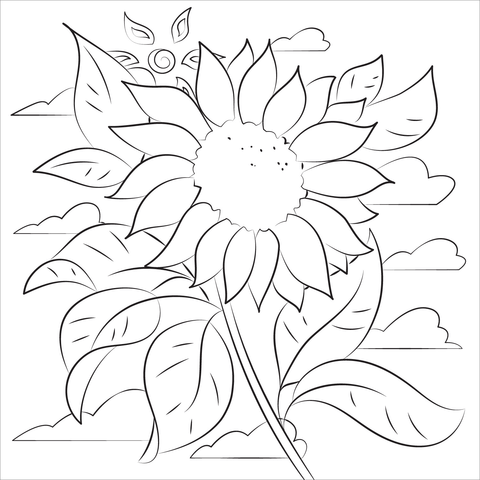 Sunflower coloring pages printable for free download