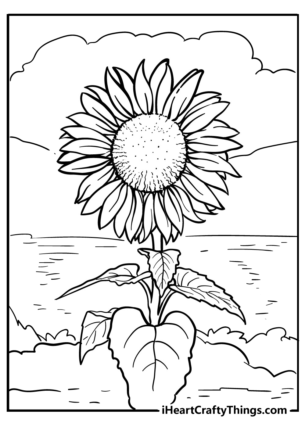 Sunflower coloring pages free printables