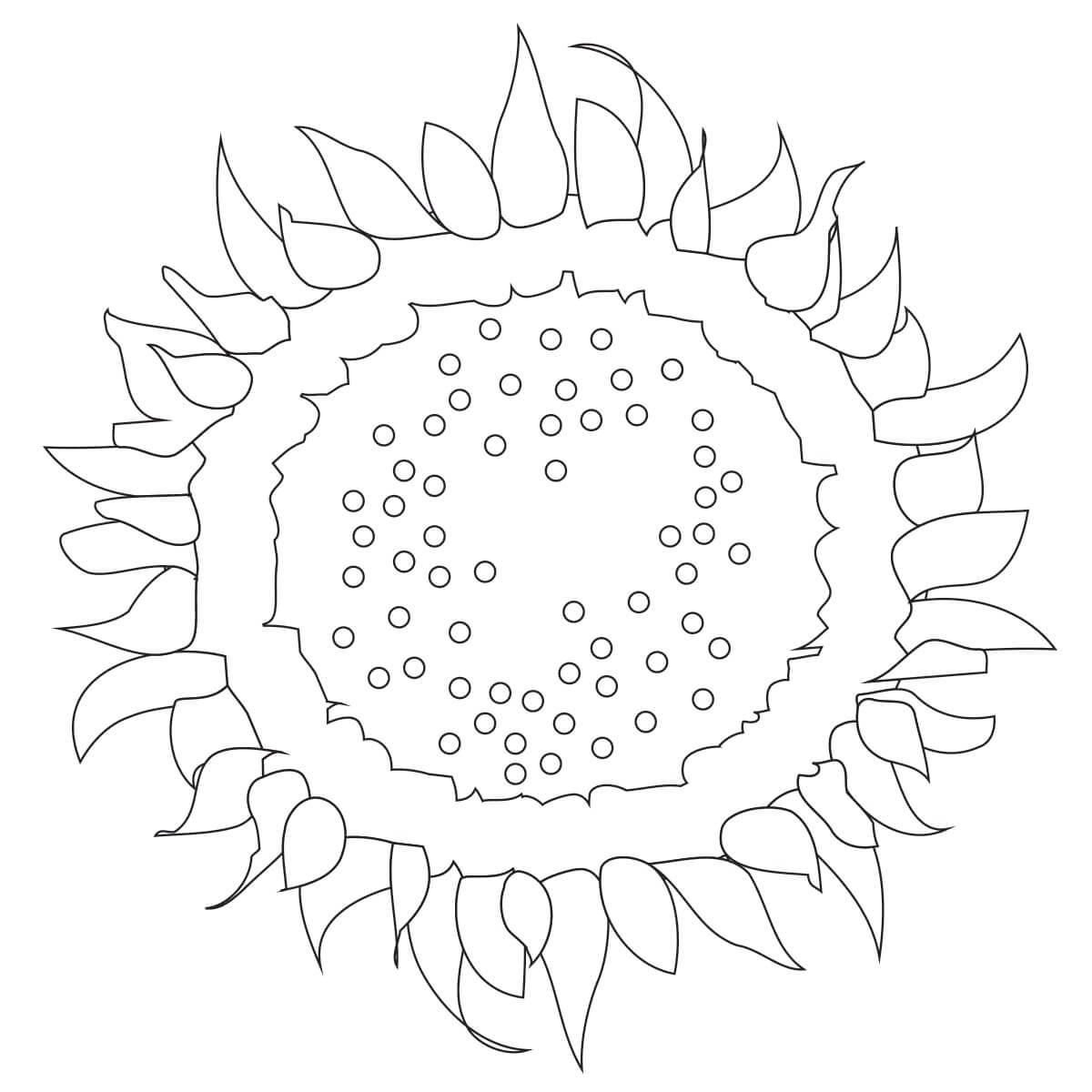 Sunflower free idea coloring page