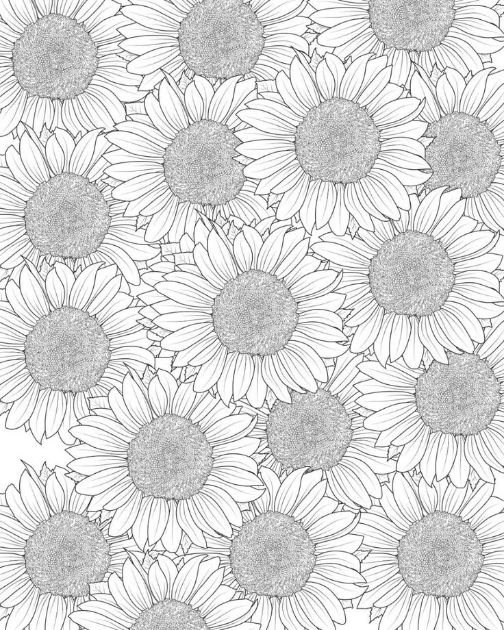 Free printable sunflower coloring page freeprintable sunflowers sunflowerâ sunflower coloring pages free adult coloring printables adult colouring printables