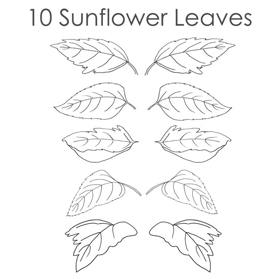 Sunflower patterns sunflower coloring pages