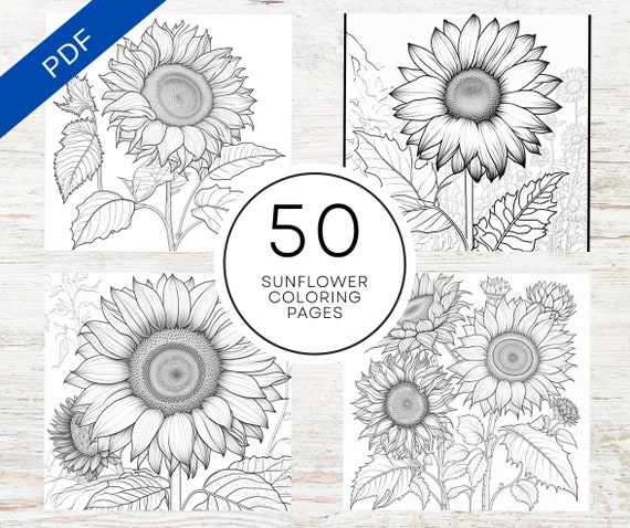 Kdp interior sunflower coloring pages for adults x printable pdf canva template mercial use floral coloring sheets