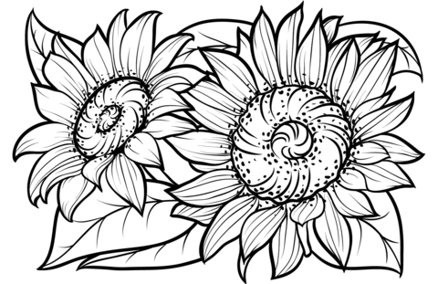 Sunflowers coloring page free printable coloring pages