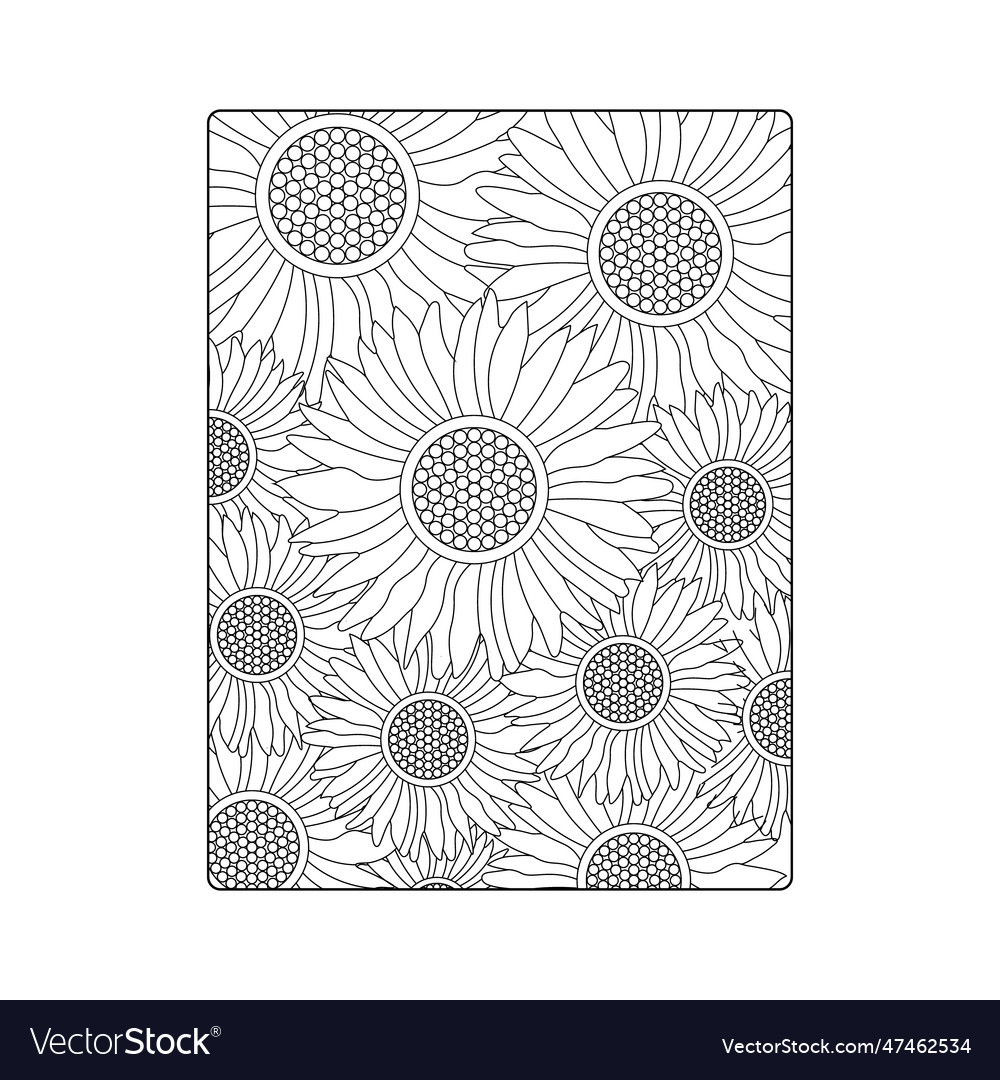 Sunflower coloring book for adults royalty free vector image