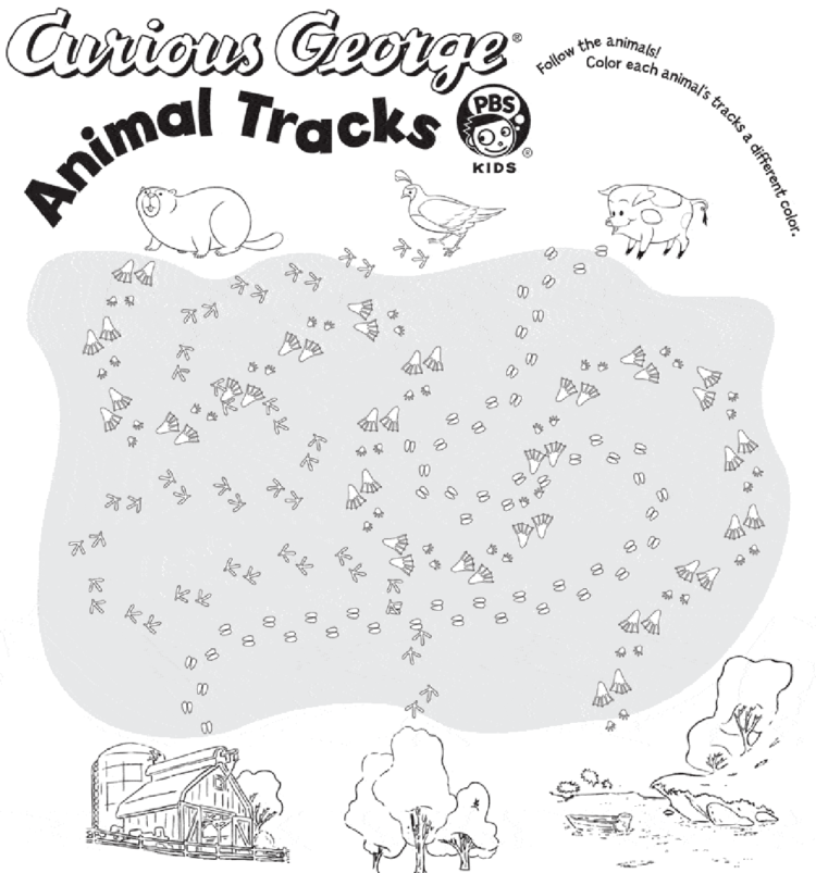 Animal tracks kids coloring pages kids for parents