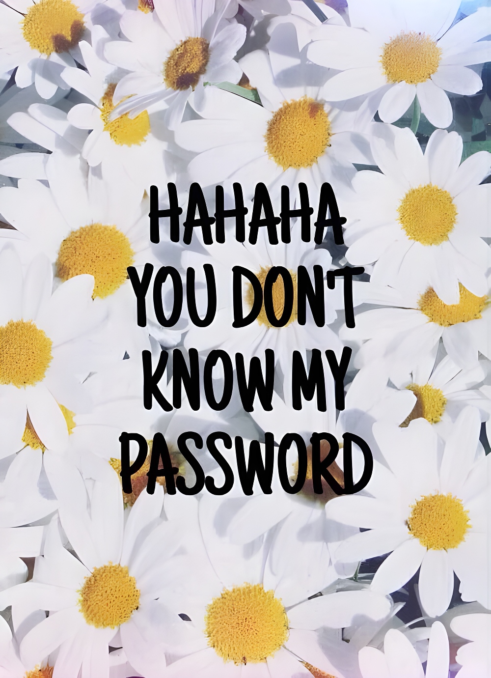 Haha you dont know my password wallpaper download