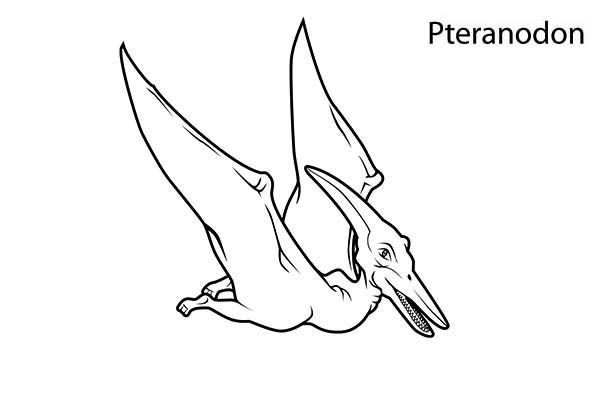 Pteranodon coloring pages ideas coloring pages coloring pictures online coloring