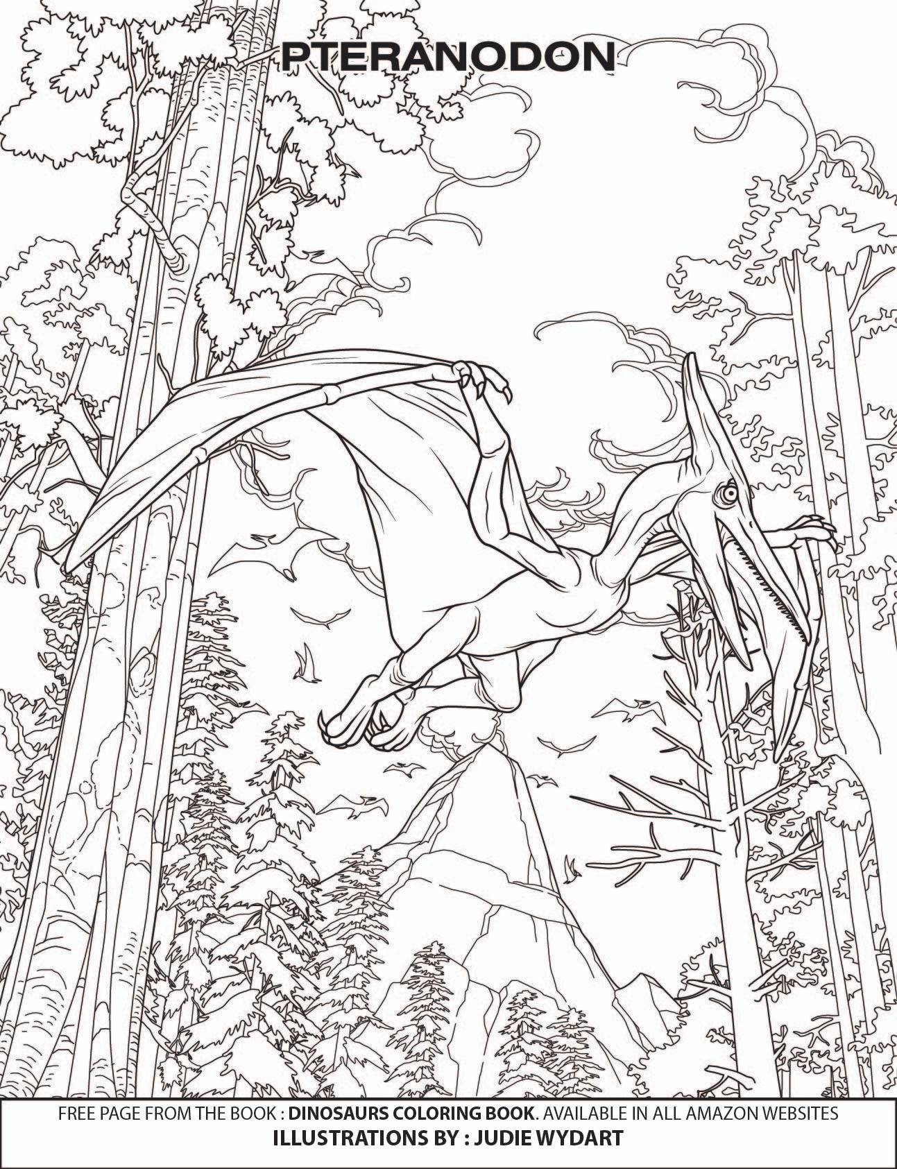 Pteranodon dinosaur coloring book by judie on