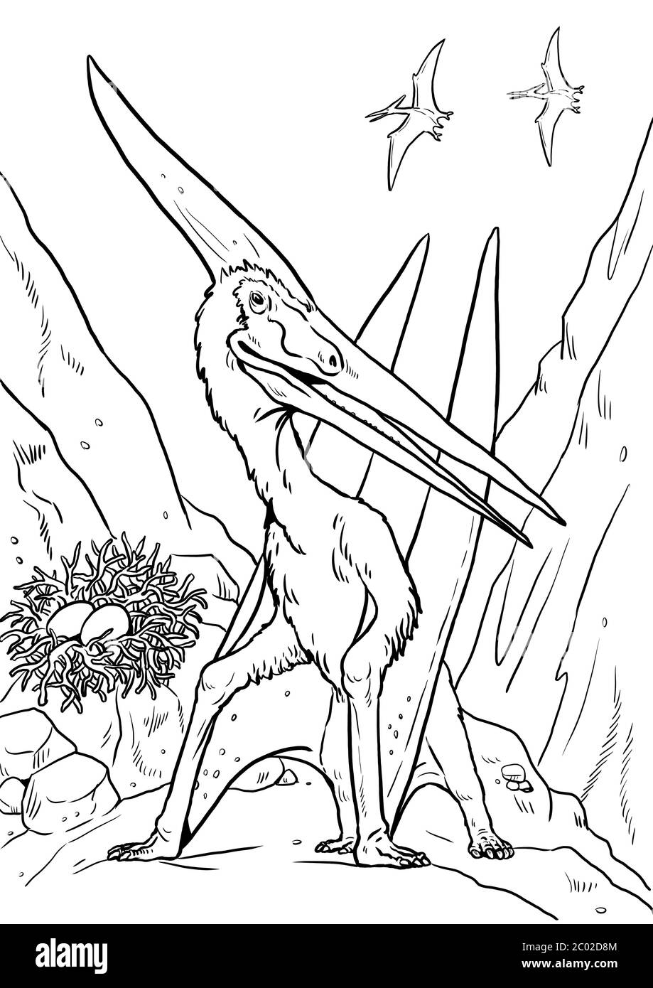 Pteranodon at the nest prehistoric pterosaur from jurassic period coloring page stock photo