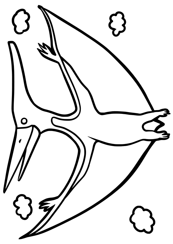 Pteranodon drawing for coloring page free printable nurieworld