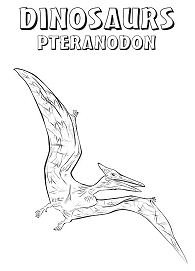 Pteranodon coloring pages printable for free download