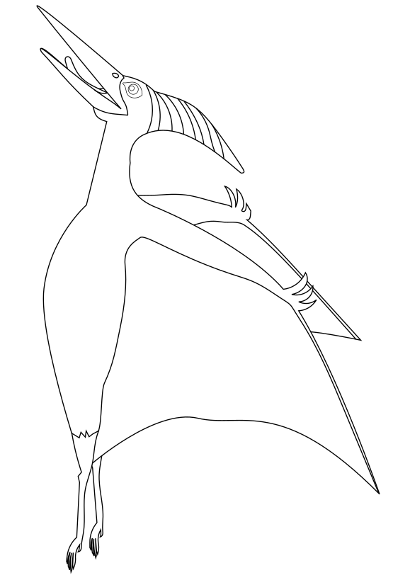 Pteranodon drawing for coloring page free printable nurieworld