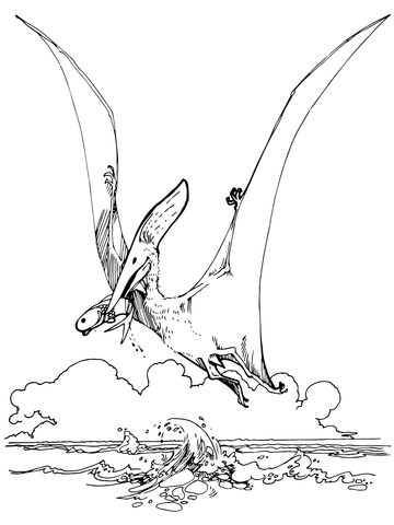 Pteranodon pterosaur coloring page free printable coloring pages