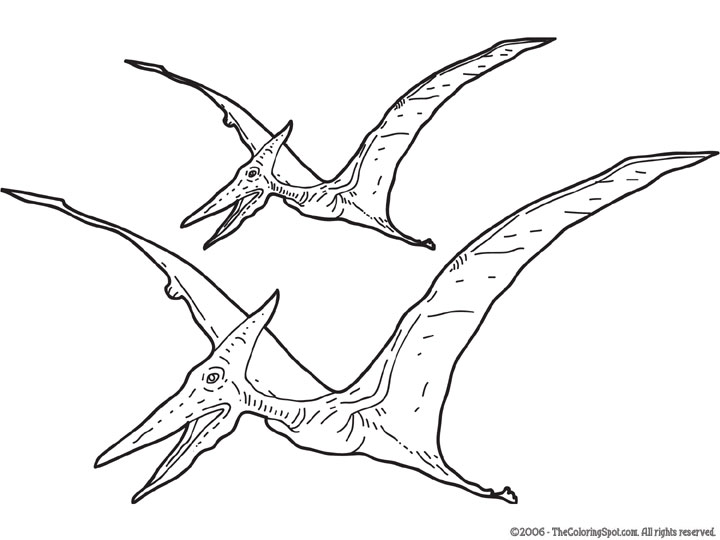 Pterosaur coloring page audio stories for kids free coloring pages colouring printables