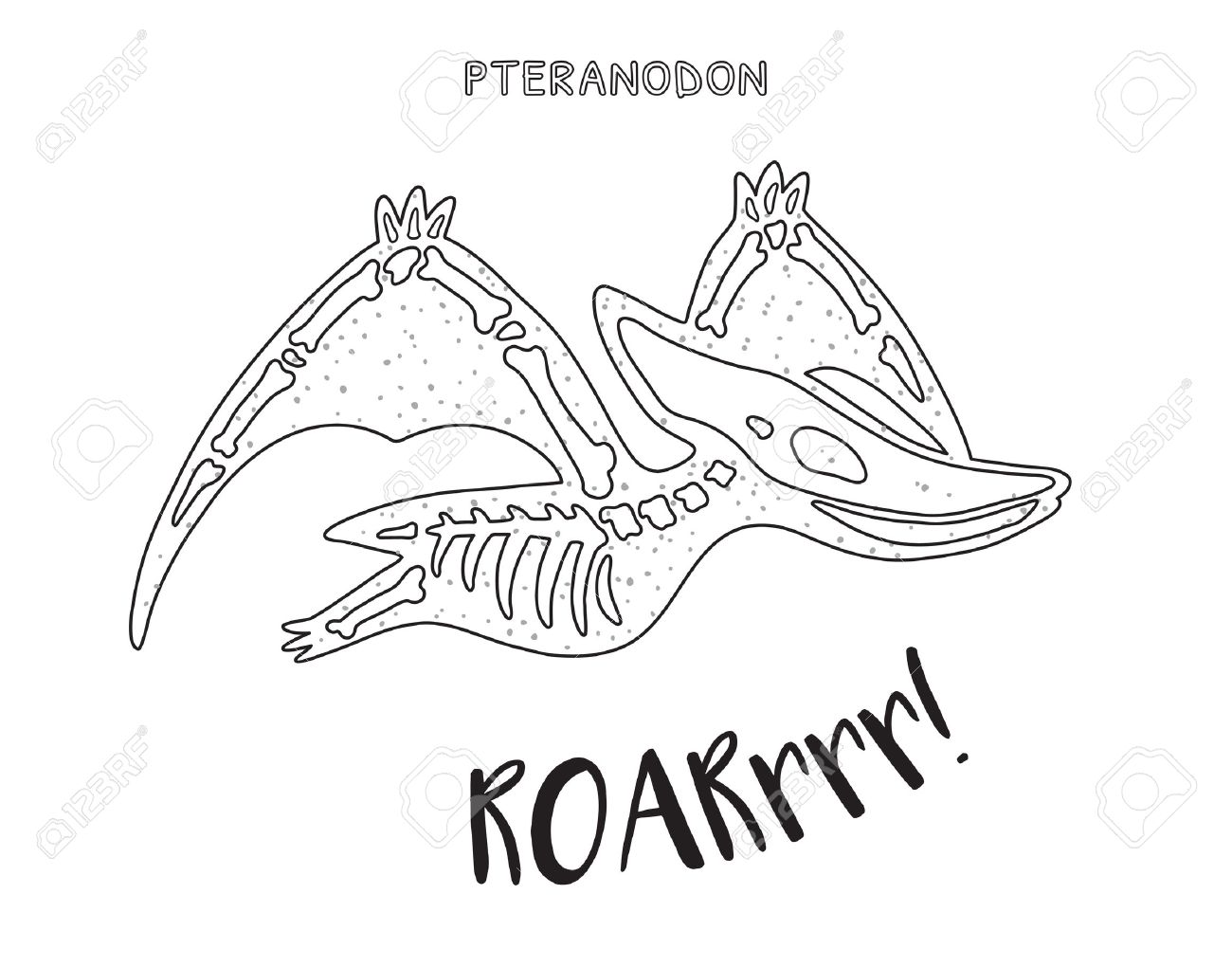 Pteranodon skeleton outline drawing fossil of a pteranodon dinosaur skeleton coloring book page royalty free svg cliparts vectors and stock illustration image