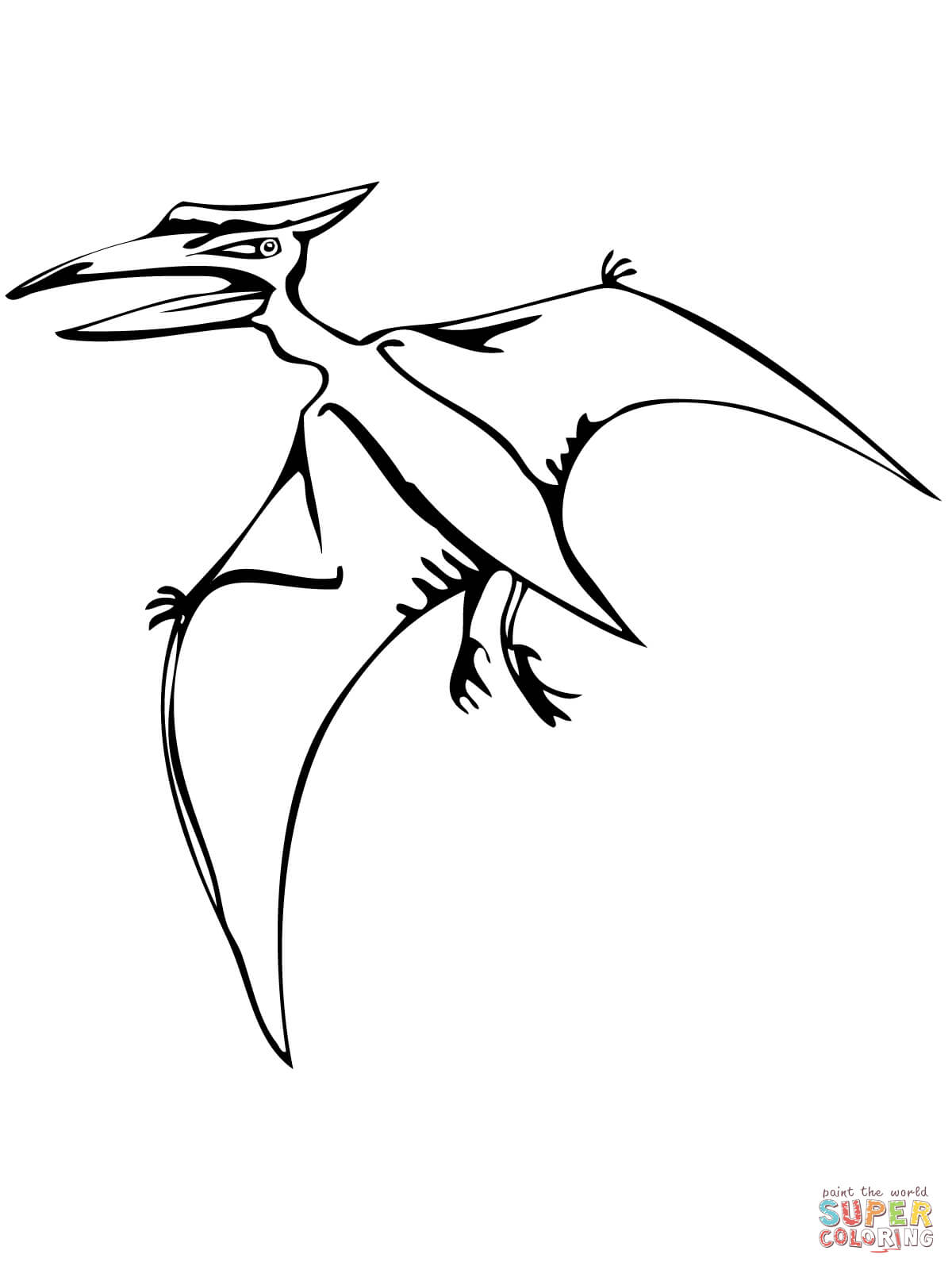 Pteranodon flying reptile coloring page free printable coloring pages