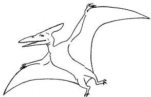 Pteranodon coloring pages printable for free download