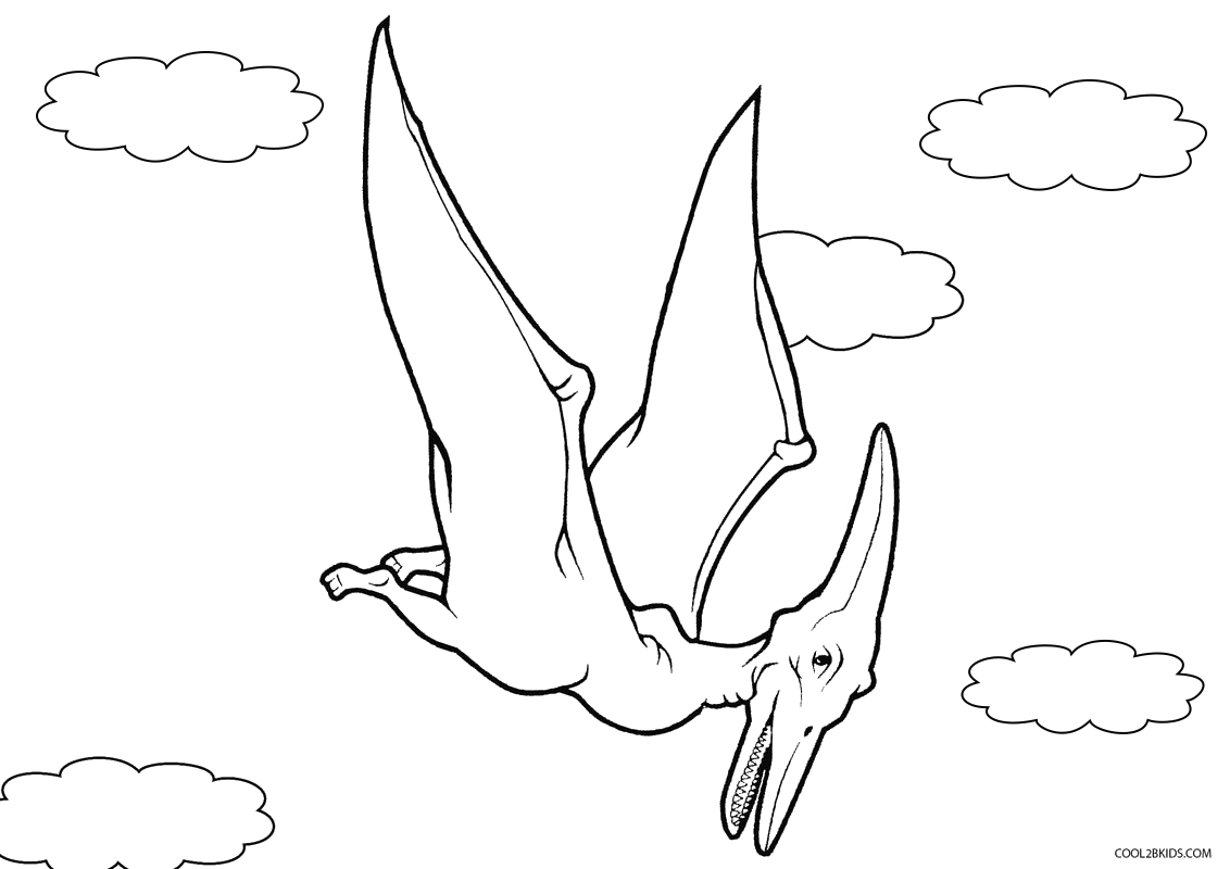 Free printable pteranodon coloring pages for kids