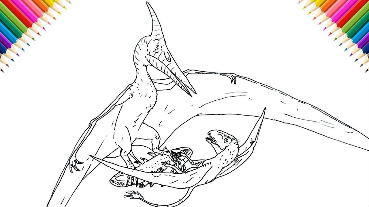 How to draw pteranodon vs dimorphodon