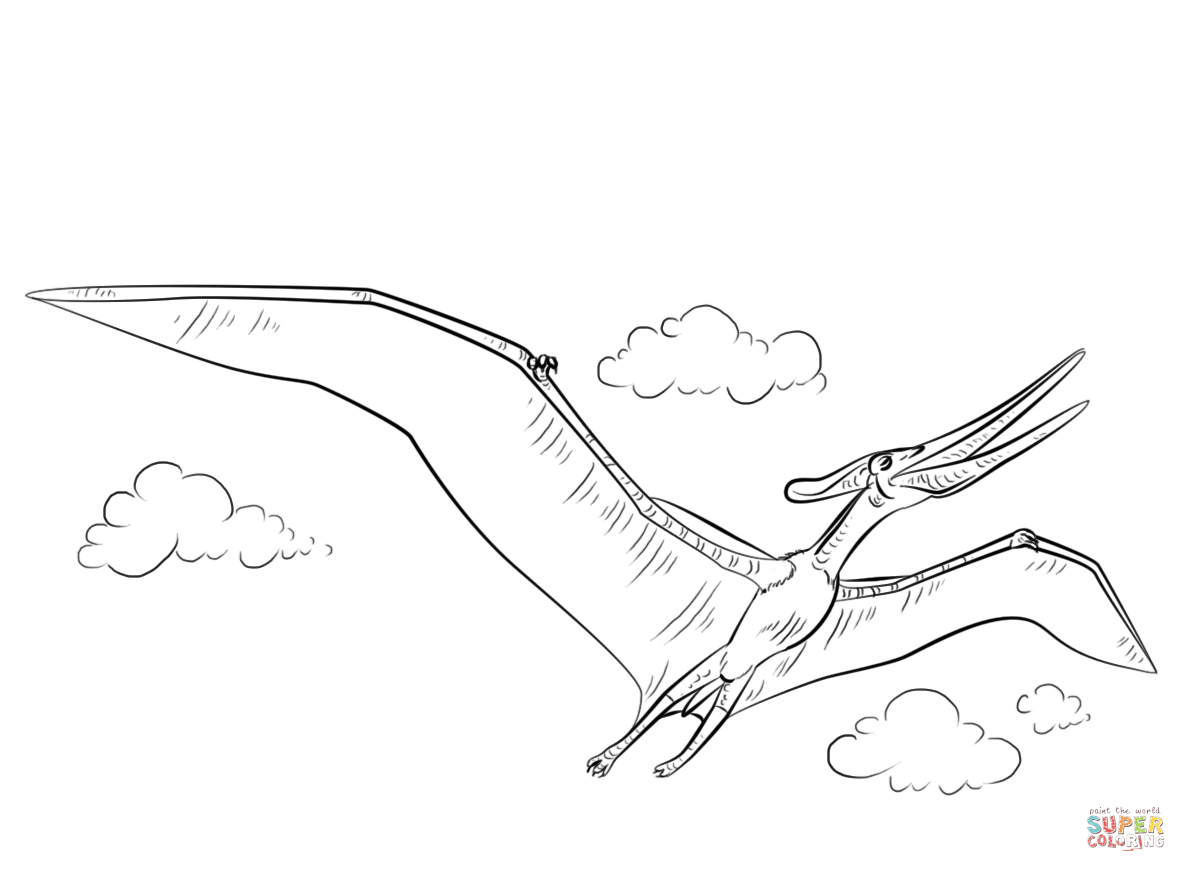 Pteranodon flying coloring page free printable coloring pages