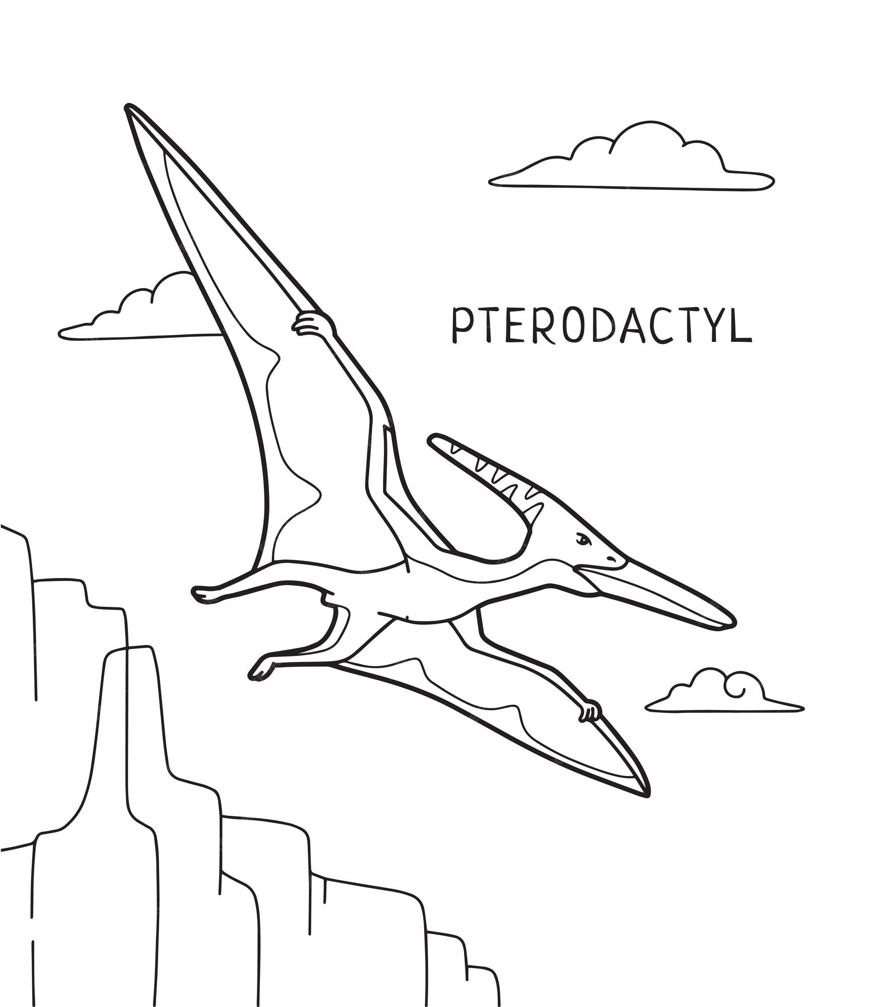 Premium vector pterodactyl dinosaur coloring page for kids