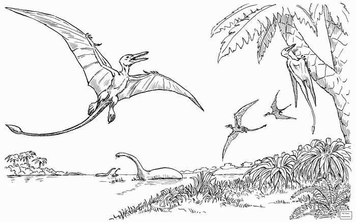 Pterodactyl coloring page dinosaur coloring pages dinosaur coloring dinosaur coloring sheets