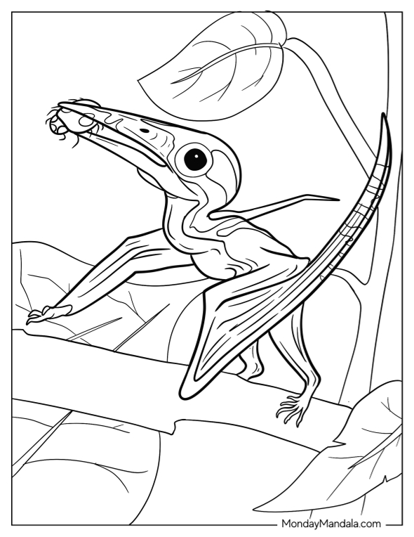 Pterodactyl coloring pages free pdf printables