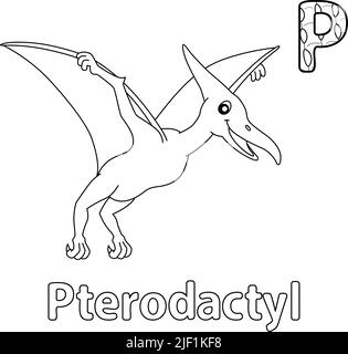 Pterodactyl dinosaur coloring page illustration stock vector image art