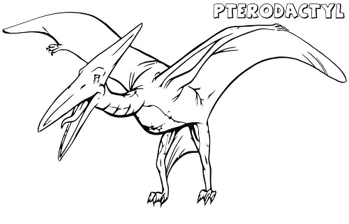 Pterodactylus coloring pages