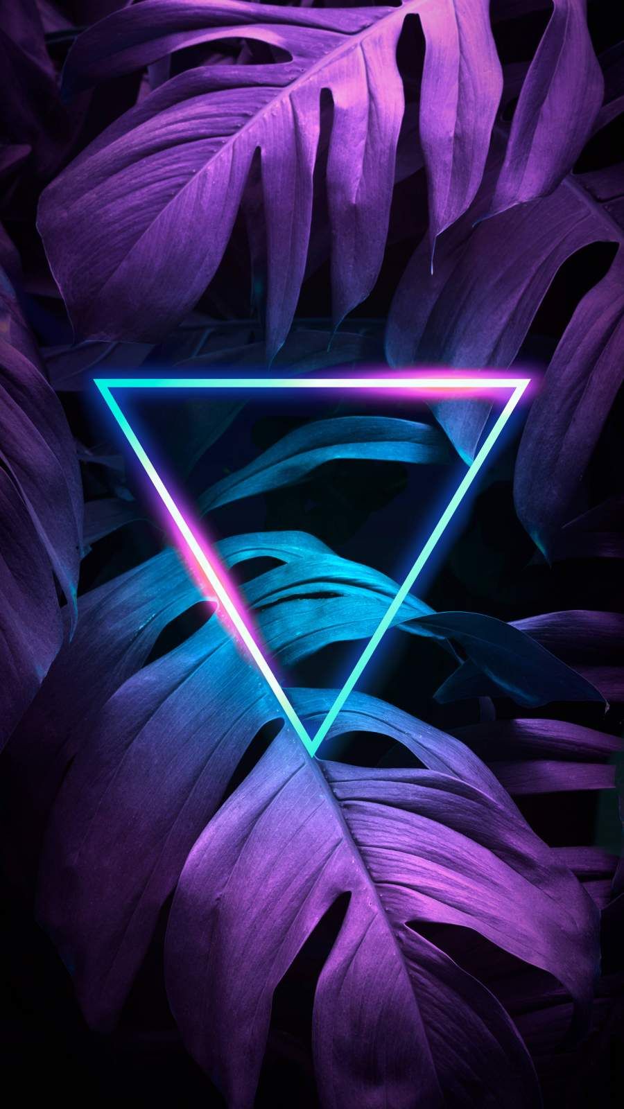 Neon wallpapers for iphone
