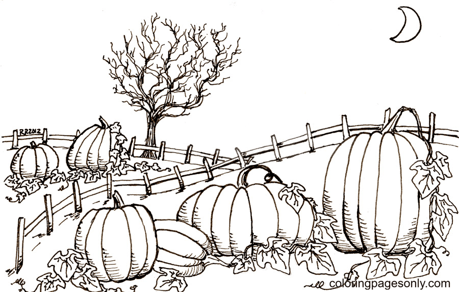 Pumpkin coloring pages printable for free download