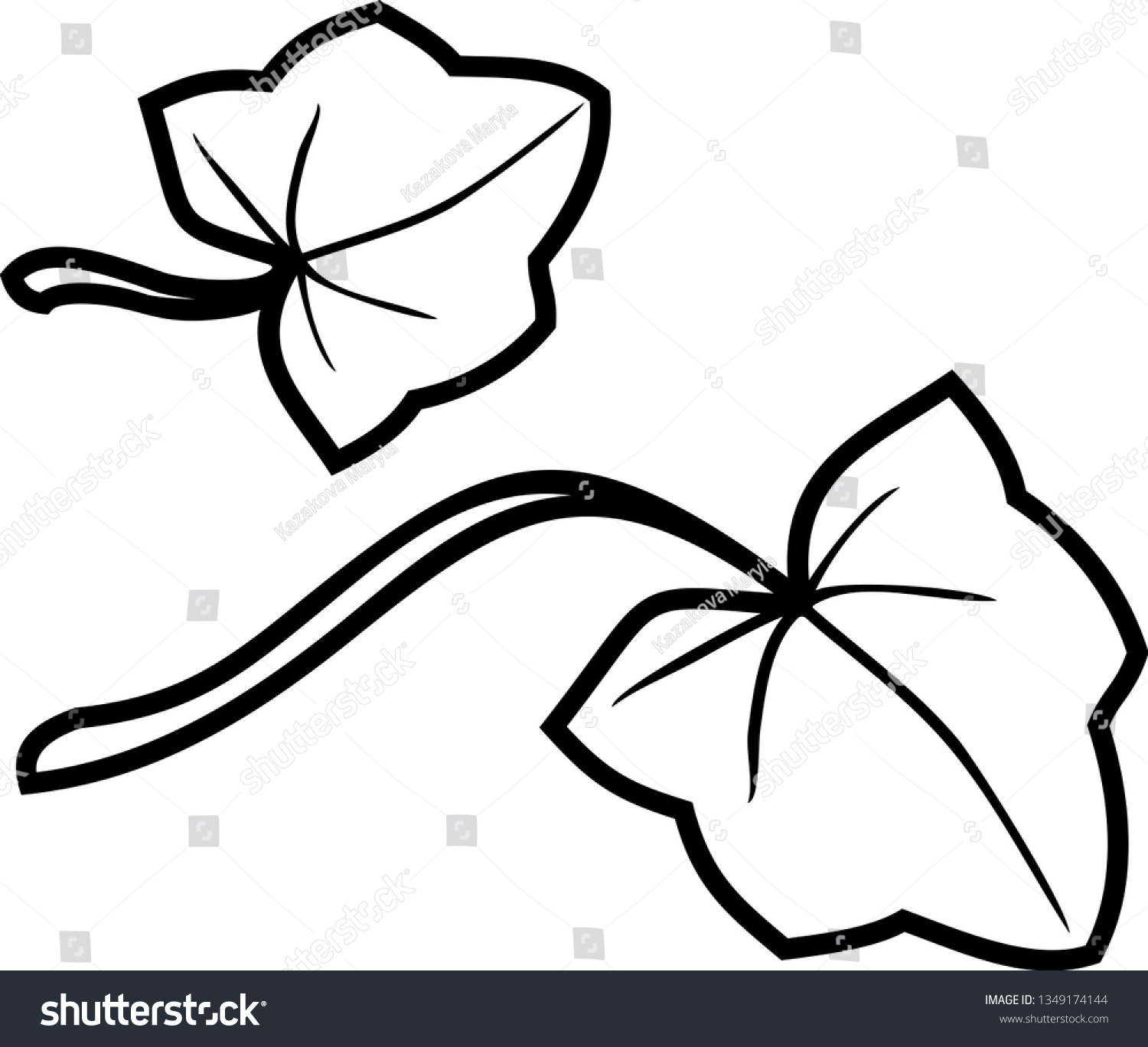 Coloring page pumpkin leaves stock vector royalty free
