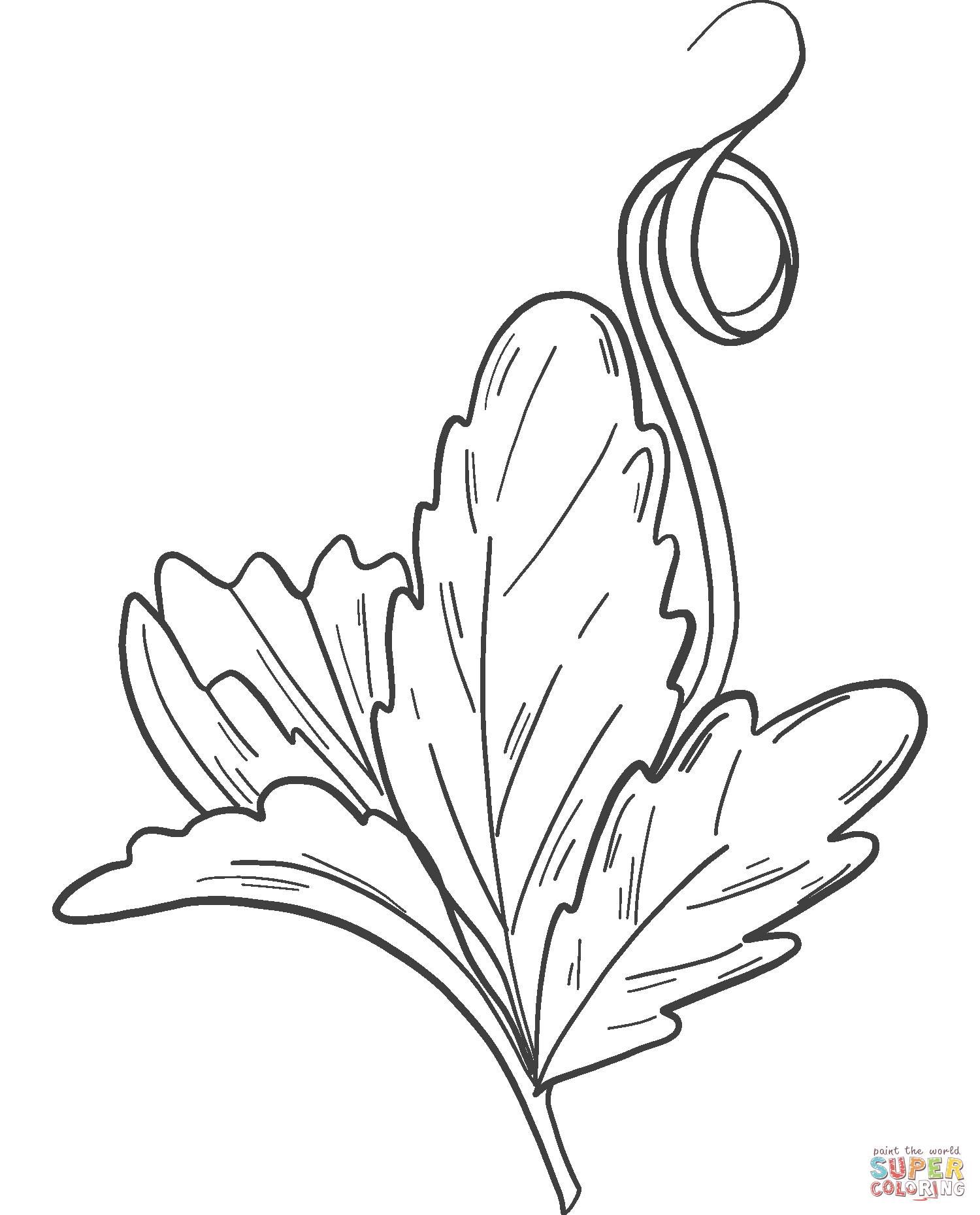 Pumpkin leaf coloring page free printable coloring pages