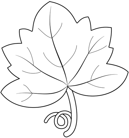 Pumpkin leaf coloring page free printable coloring pages