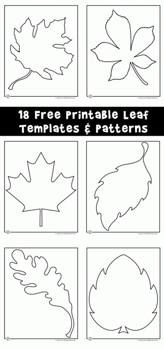Leaf template printables woo jr kids activities childrens publishing