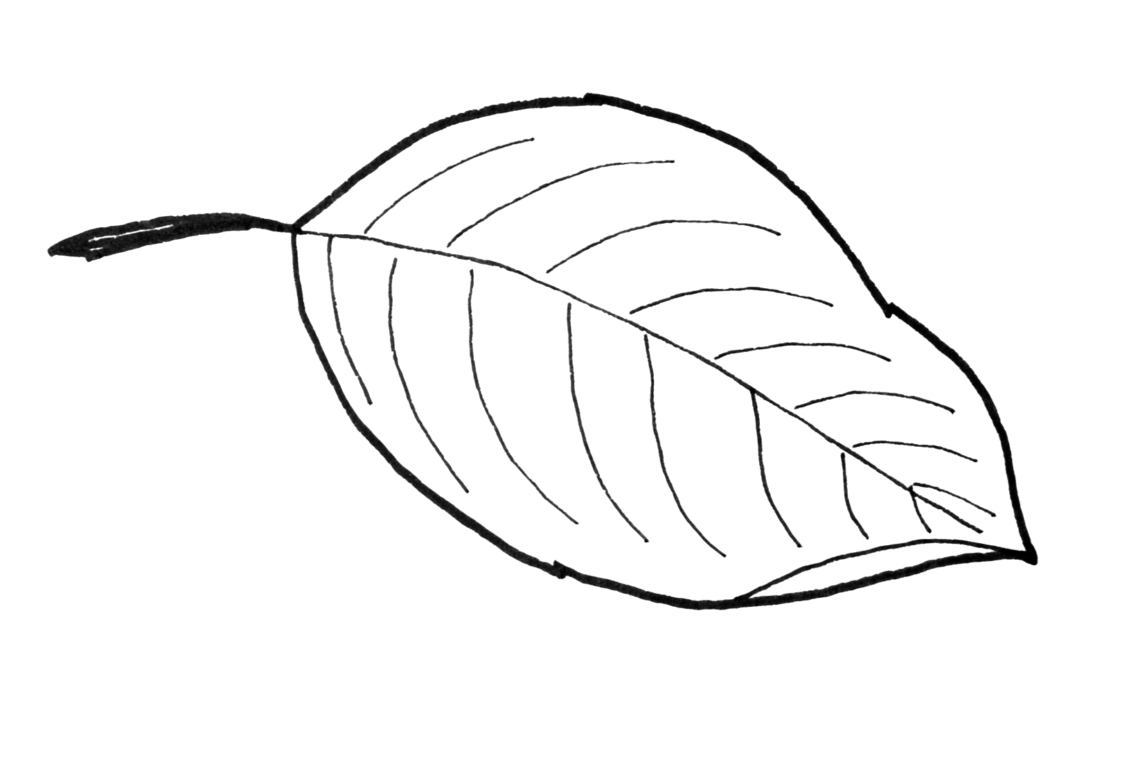 Fall leaf pattern printables