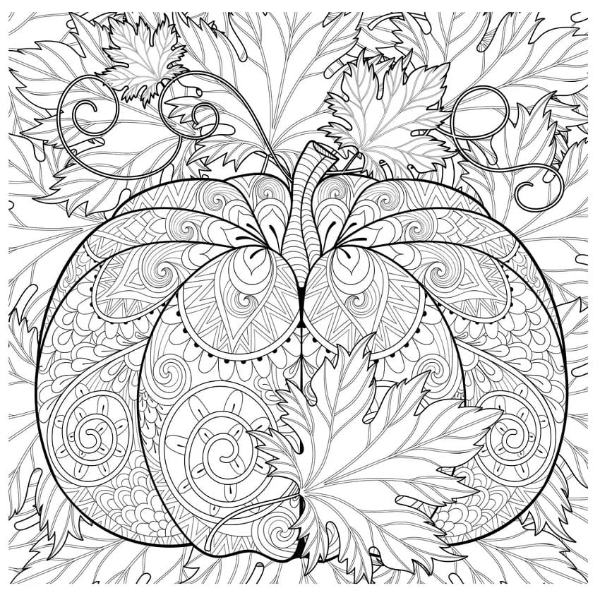 Pumpkin with leaves for adults coloring page