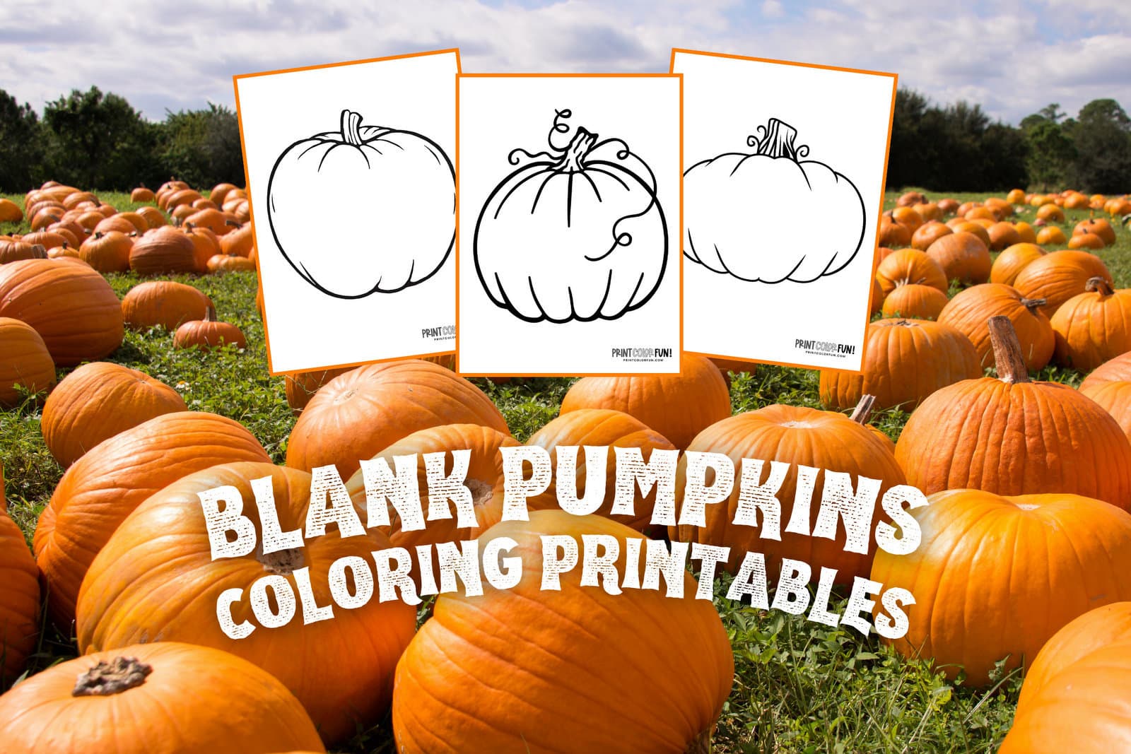 Pumpkin outline printables large blank pumpkin templates for autumn fun at