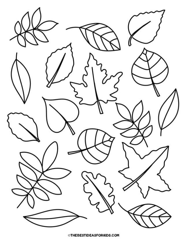 Leaf coloring pages free printables