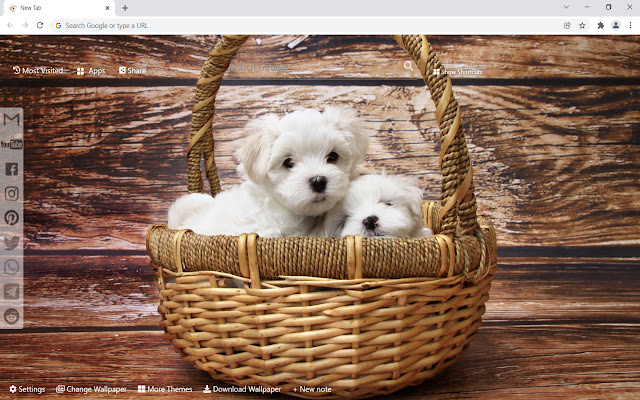 Cute dogs puppies wallpaper new tab