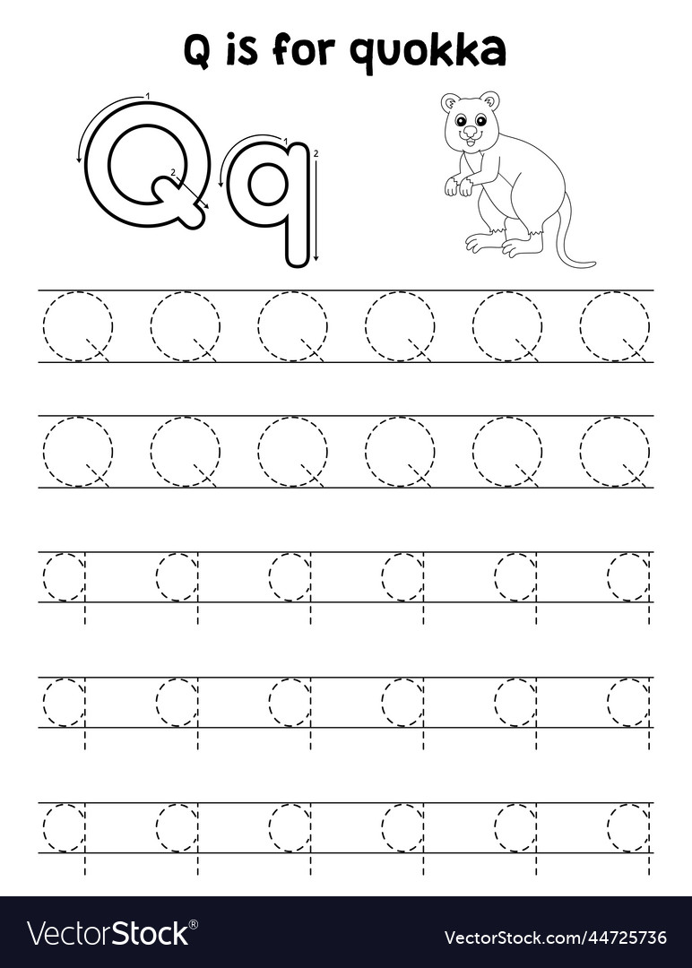 Quokka animal tracing letter abc coloring page q vector image