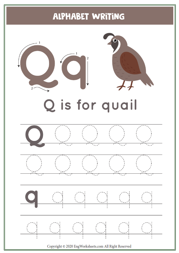 Letter q alphabet tracing worksheet with animal illustration